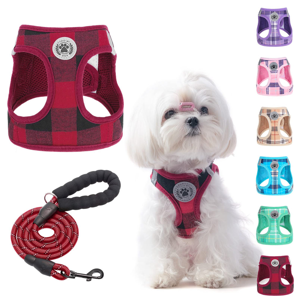 BEAUTYZOO small dog harness and leash set shown together from the front.
