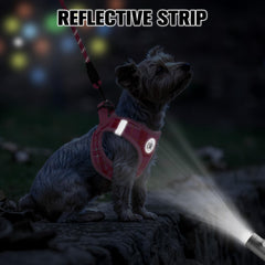 BEAUTYZOO small dog harness detail showing reflective strips for low-light visibility.