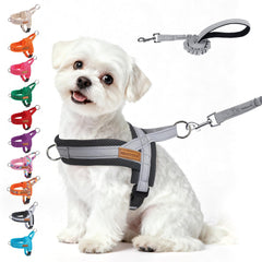 BEAUTYZOO small dog harness and leash set shown from the front.