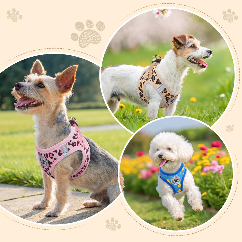 BEAUTYZOO small dog harness shown to highlight its step-in design.