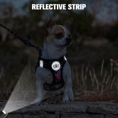 BEAUTYZOO small dog leash detail showing the swivel metal hook.
