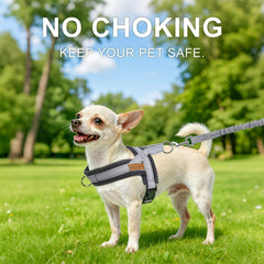 BEAUTYZOO step-in dog harness vest shown on its own.