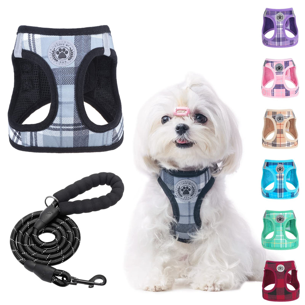 BEAUTYZOO XS small dog harness and leash set shown from the front.