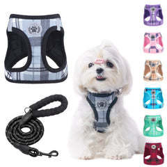 BEAUTYZOO XS small dog harness and leash set shown from the front.