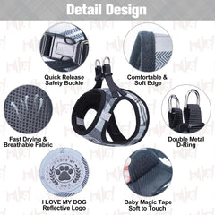 BEAUTYZOO XS dog harness buckle and hook-and-loop fastener shown in detail.