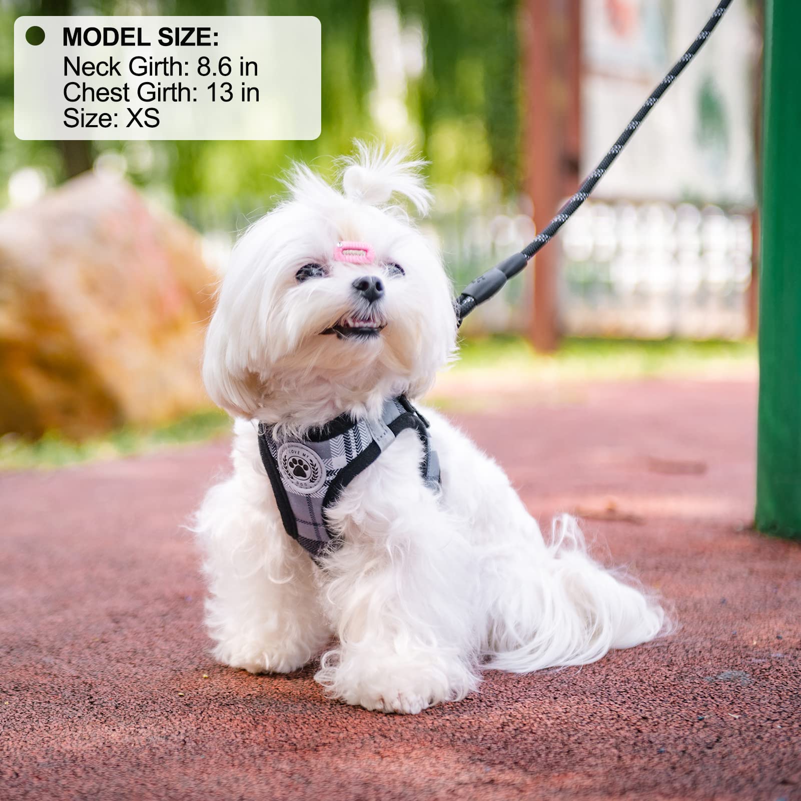 BEAUTYZOO XS dog harness and leash set shown from a side angle.
