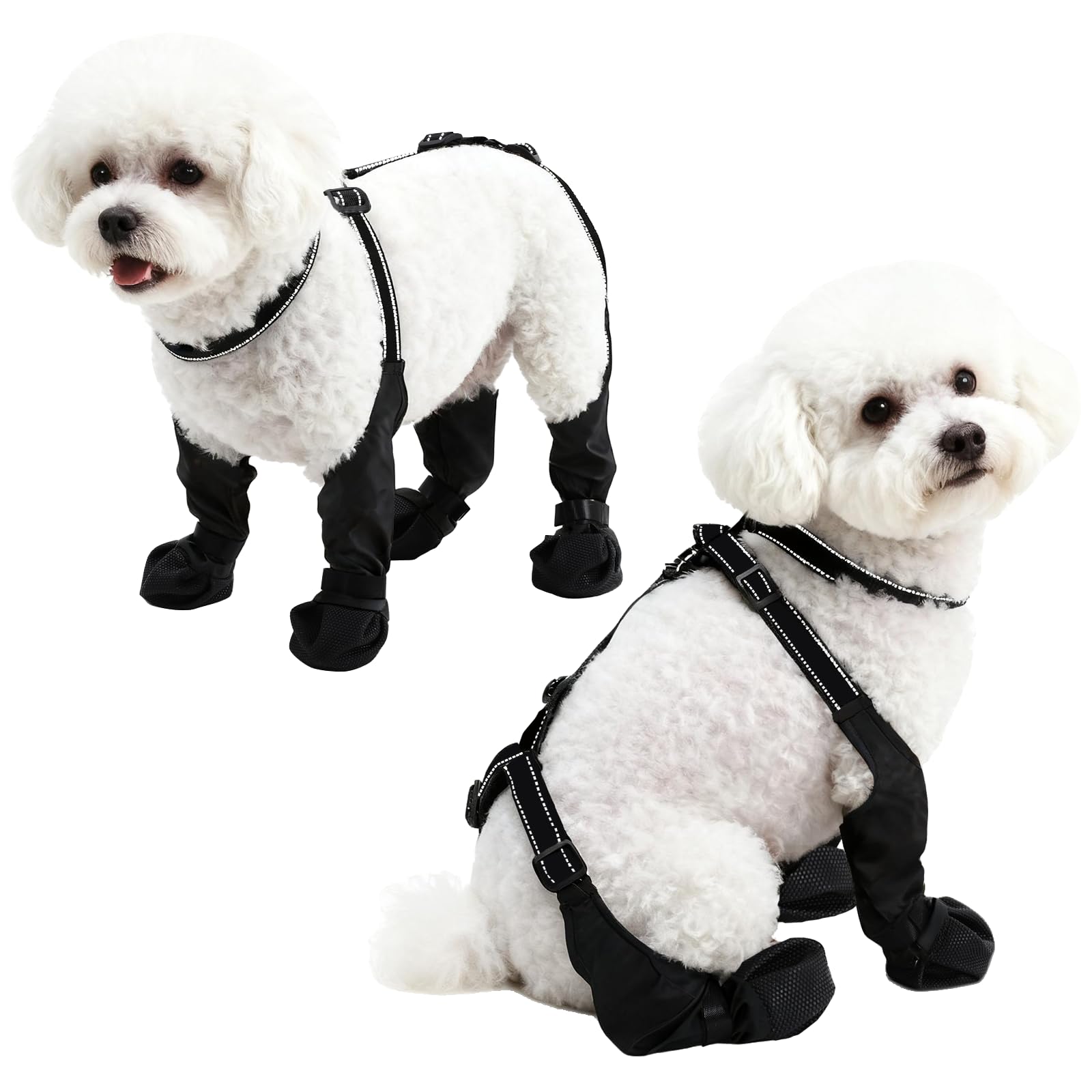 BECROWM dog boots shown from the front to display their overall shape.