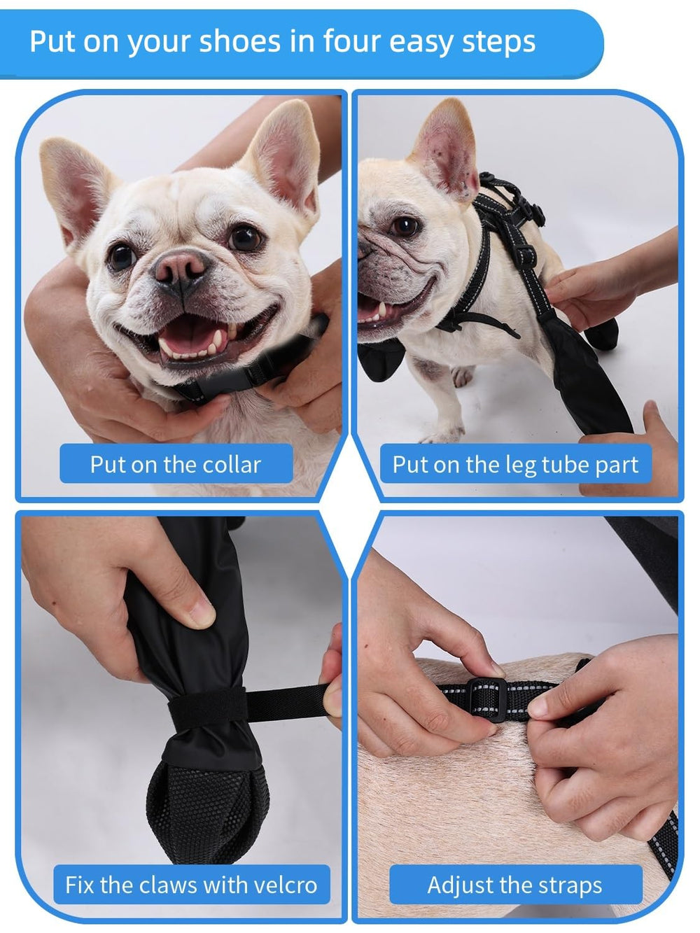 BECROWM dog boots shown in use for an outdoor walk.