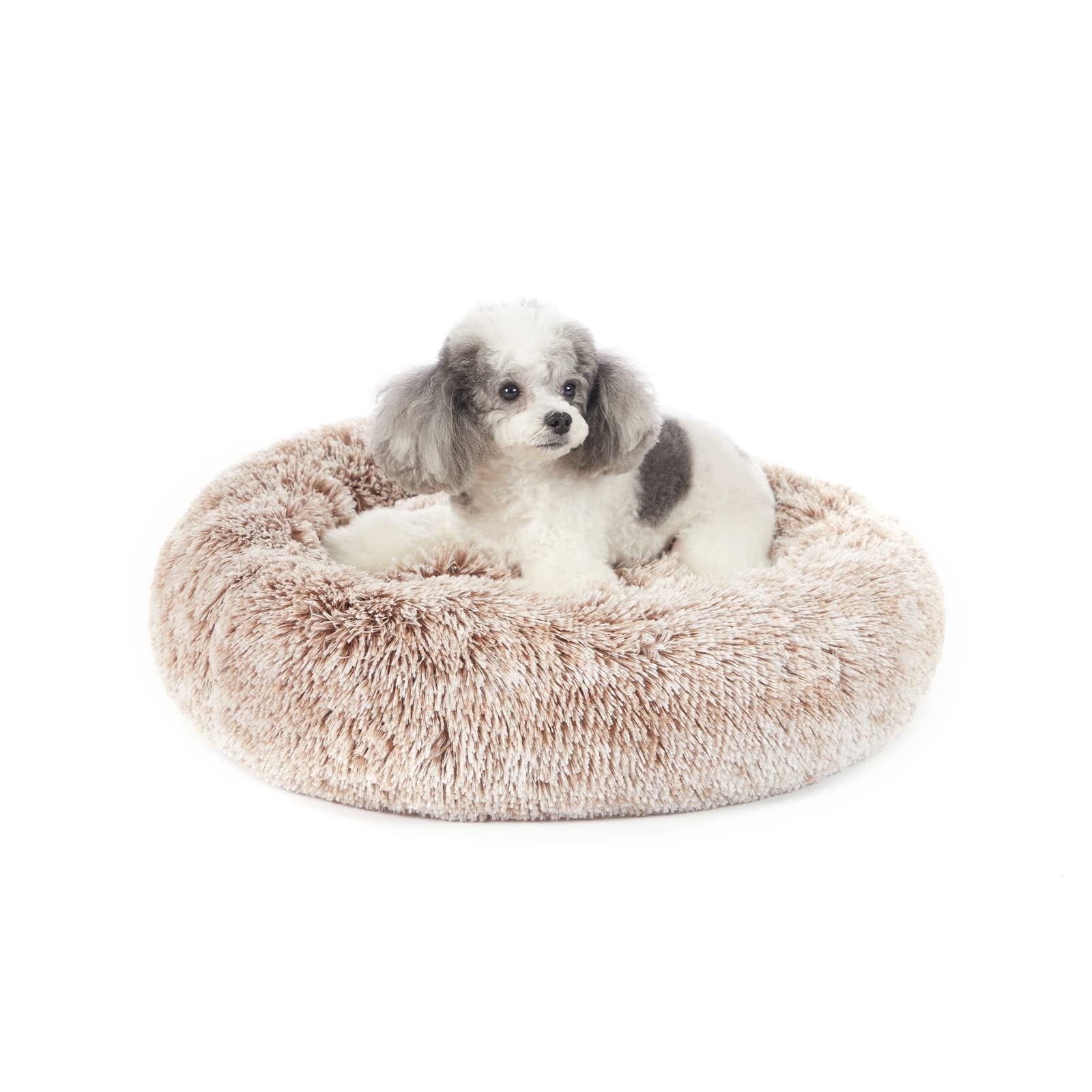 Bedfolks Calming Fluffy Donut Dog Bed shown from the front.
