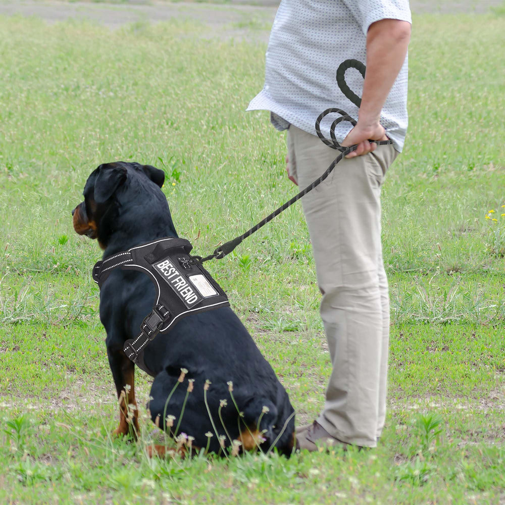 Beebiepet tactical dog harness side view highlighting its MOLLE strips.