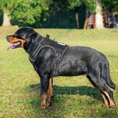 Beebiepet tactical dog harness close-up showing nylon and reinforced stitching.