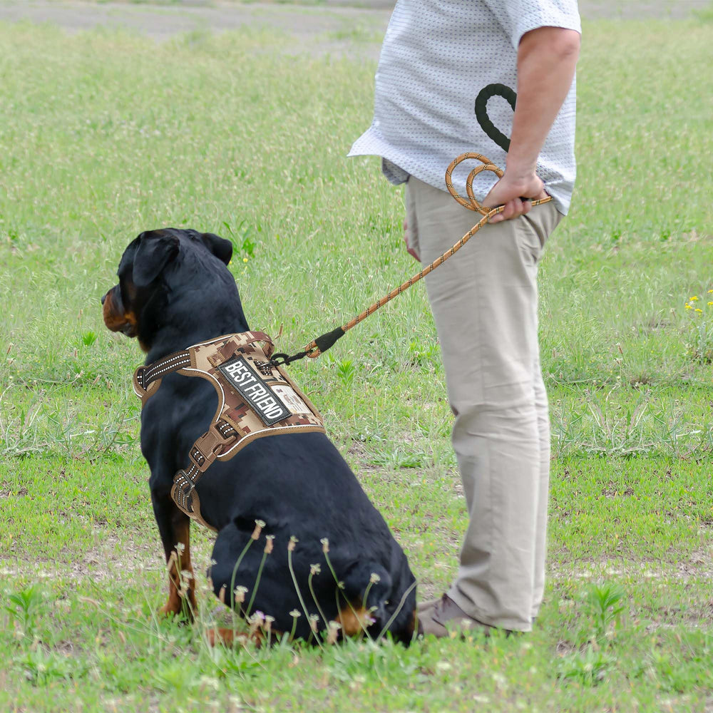 Beebiepet Tactical Dog Harness detail showing MOLLE strips on the sides.