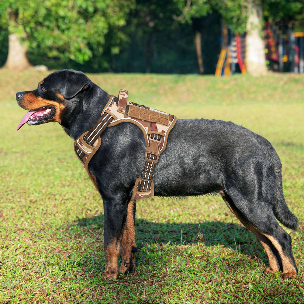 Beebiepet tactical dog harness close-up showing reinforced stitching and triangular rings.