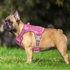 Beebiepet tactical dog harness detail showing reinforced stitching and triangular rings.