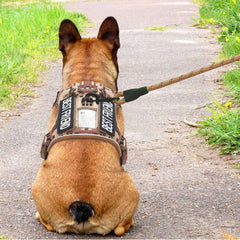 Beebiepet tactical dog harness close-up showing the chest buckles.