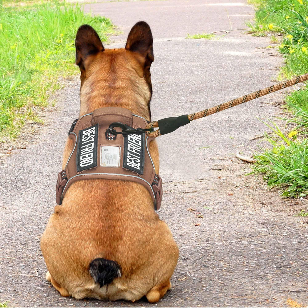 Beebiepet Tactical No Pull Dog Harness side view highlighting the MOLLE strips.