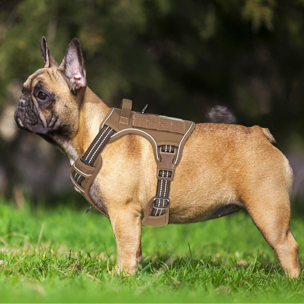 Beebiepet Tactical No Pull Dog Harness detail showing nylon and reinforced stitching.