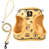 BELLA & PAL puppy harness and leash set shown from the front.