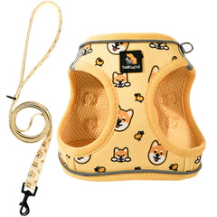 BELLA & PAL puppy harness and leash set shown from the front.