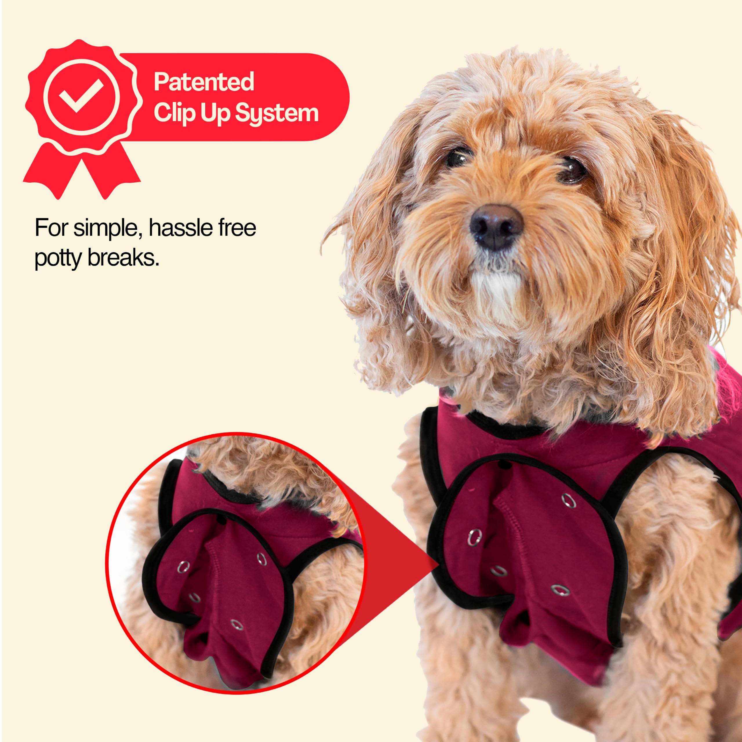 BellyGuard Dog Surgery Recovery Suit being worn by a dog.