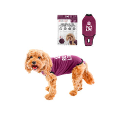 BellyGuard Dog Surgery Recovery Suit shown in a full view.