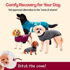 BellyGuard Dog Surgery Recovery Suit showing the rear snap closure.