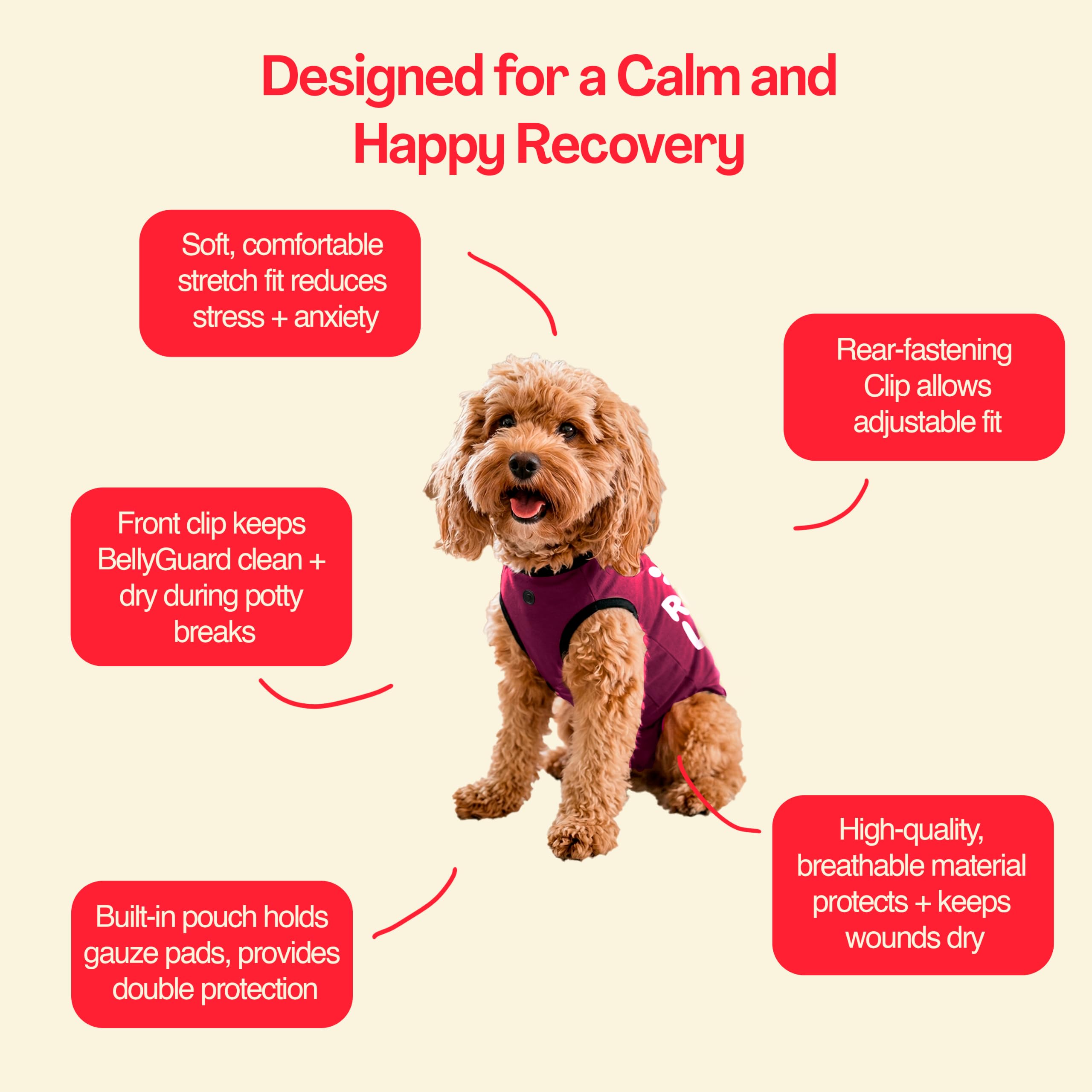 BellyGuard Dog Surgery Recovery Suit covering a dog's body after surgery.