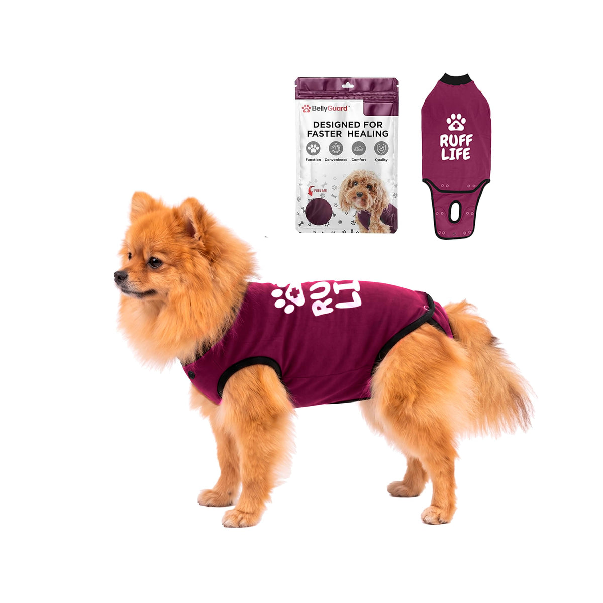 BellyGuard dog surgery recovery suit shown from the front.