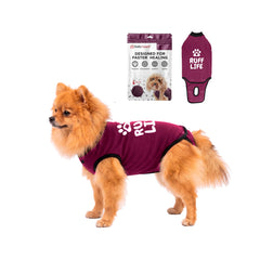 BellyGuard dog surgery recovery suit shown from the front.
