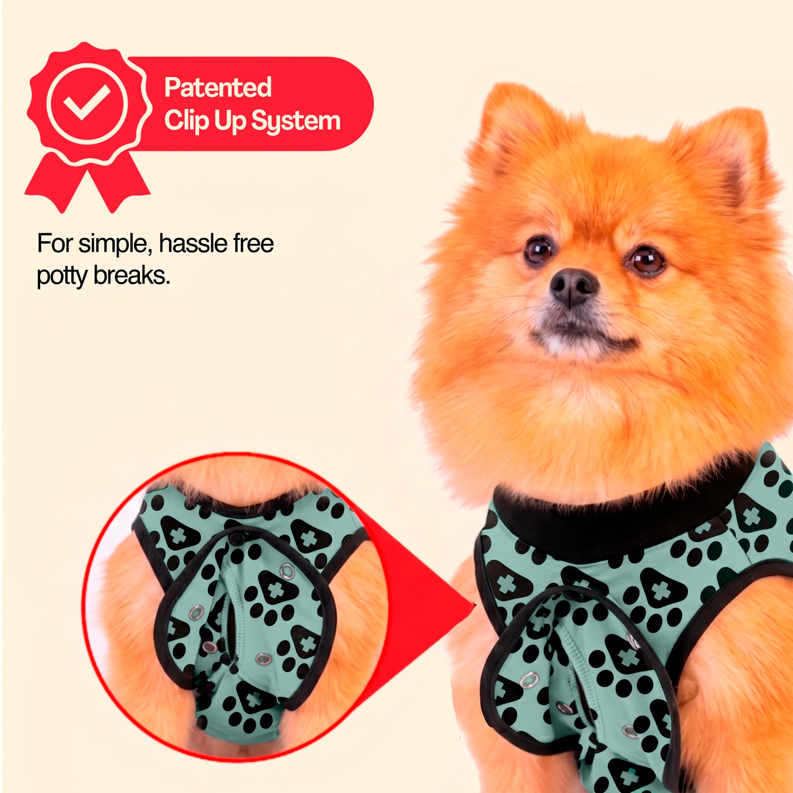 BellyGuard dog surgery recovery suit showing the button-secured flaps.