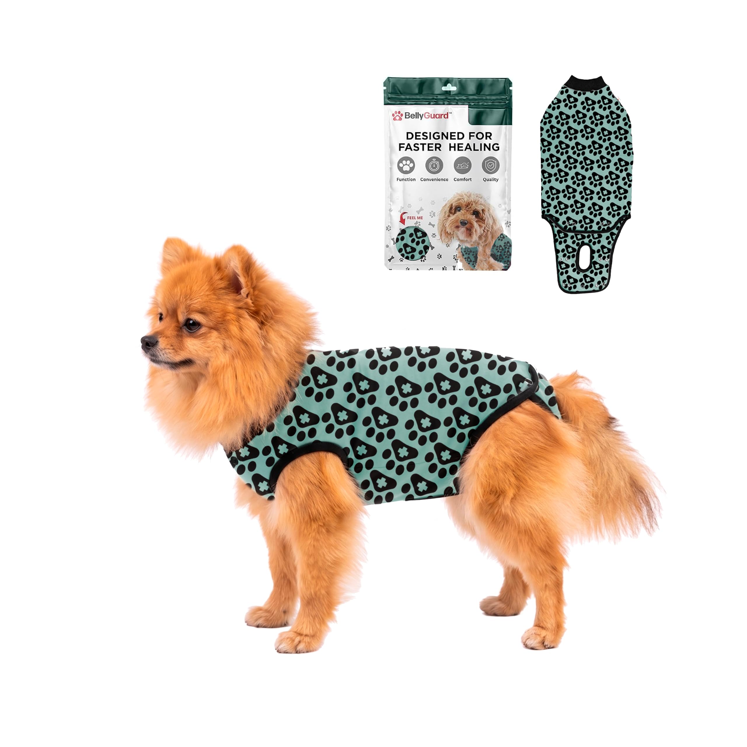 BellyGuard dog surgery recovery suit shown from the front.