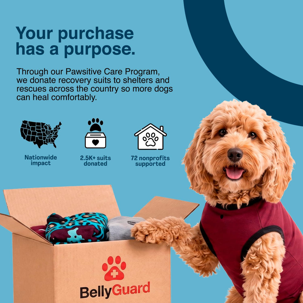 BellyGuard dog surgery recovery suit rolled up for a bathroom break.