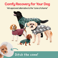 BellyGuard dog surgery recovery suit showing its rear snap closure.