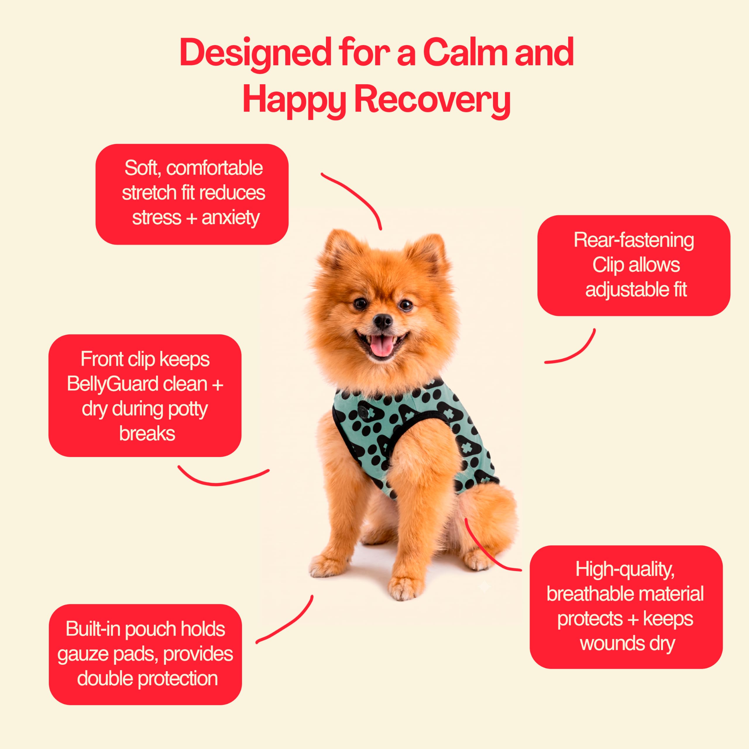 BellyGuard dog surgery recovery suit covering a dog’s body.