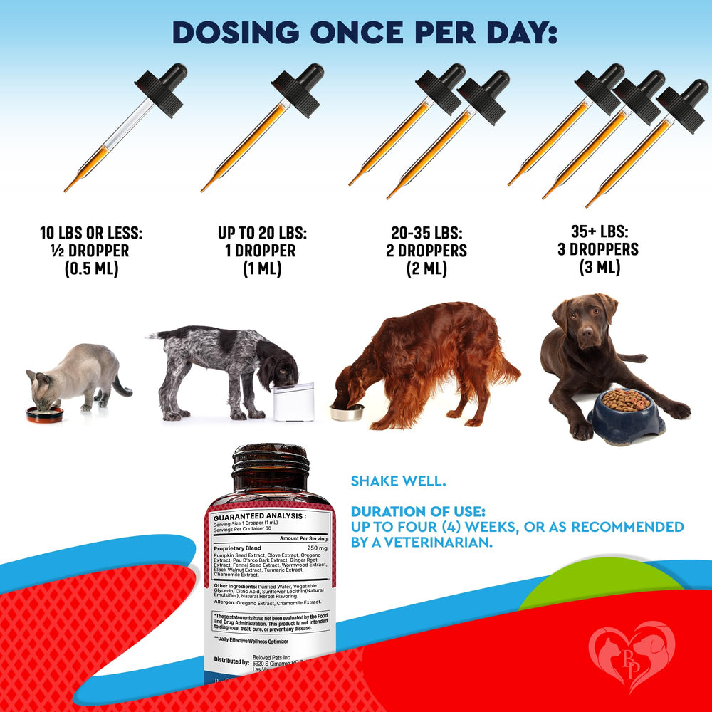 Beloved Pets herbal supplement shown as part of a cat's daily care routine.
