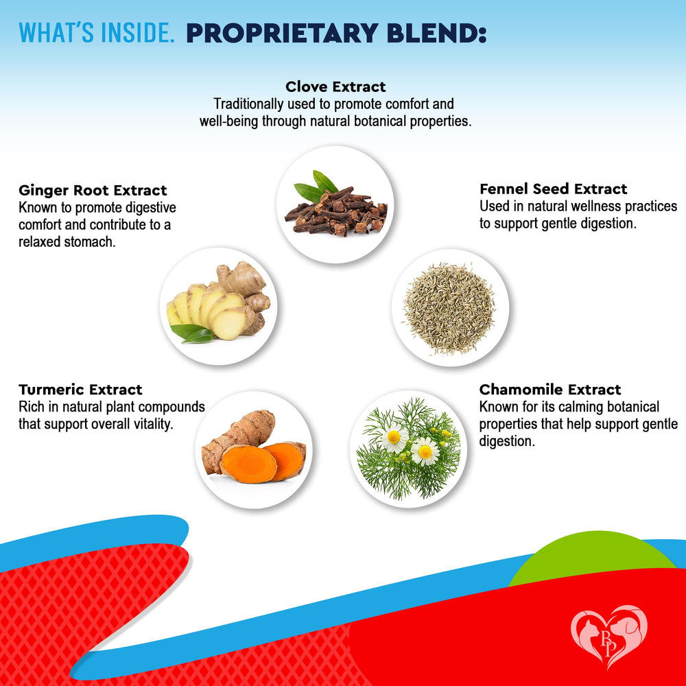 Beloved Pets herbal supplement liquid formula for dogs and cats.