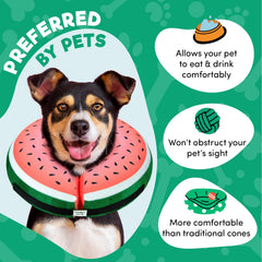 Close-up of the fabric on the BENCMATE inflatable dog collar.