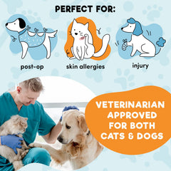 BENCMATE inflatable dog cone collar shown worn by a dog.