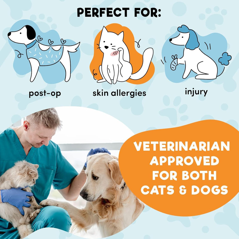BENCMATE inflatable dog collar shown worn around a dog's neck.
