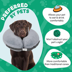 BENCMATE inflatable dog cone worn by a dog during recovery.
