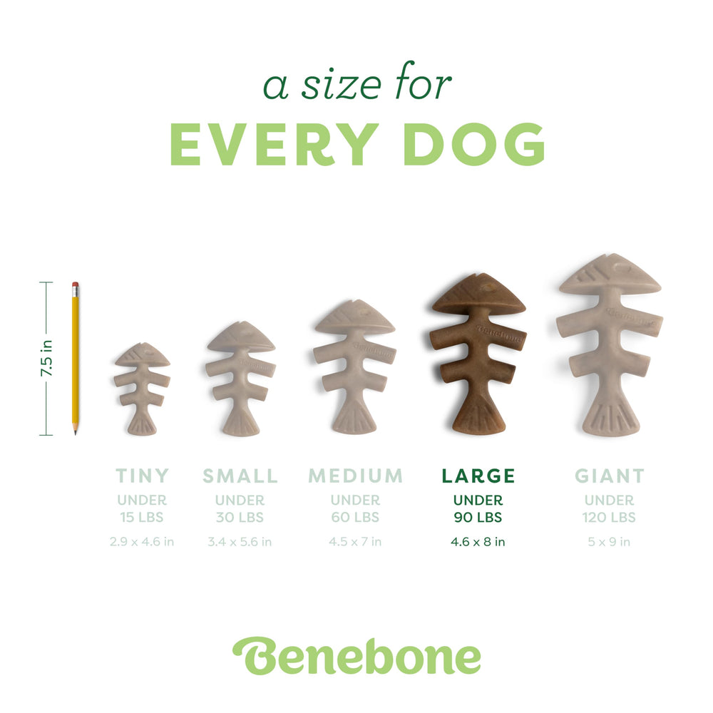 Benebone Fishbone dog chew toy being chewed by a dog.