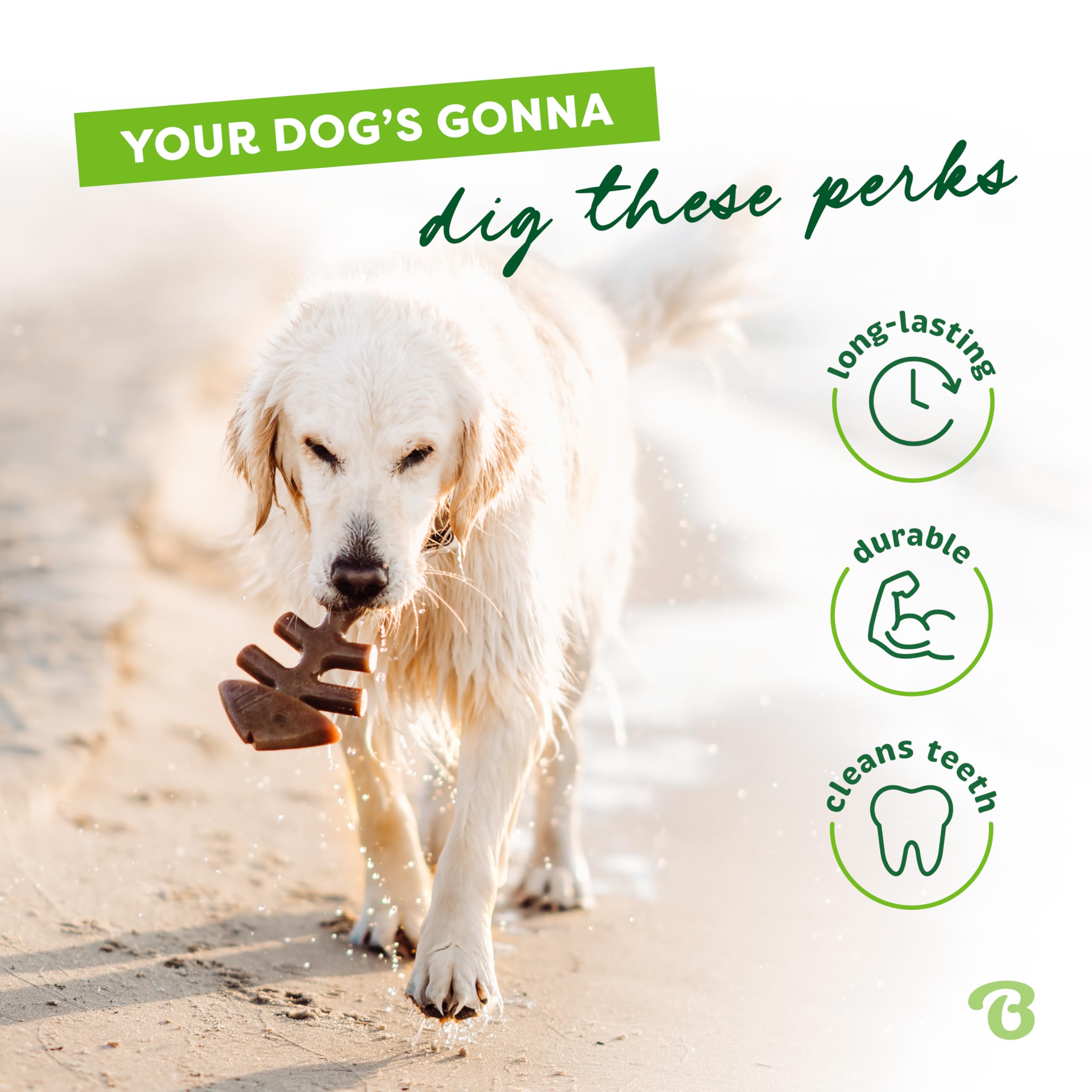 Benebone Fishbone dog chew toy detail highlighting its easy-grip shape.