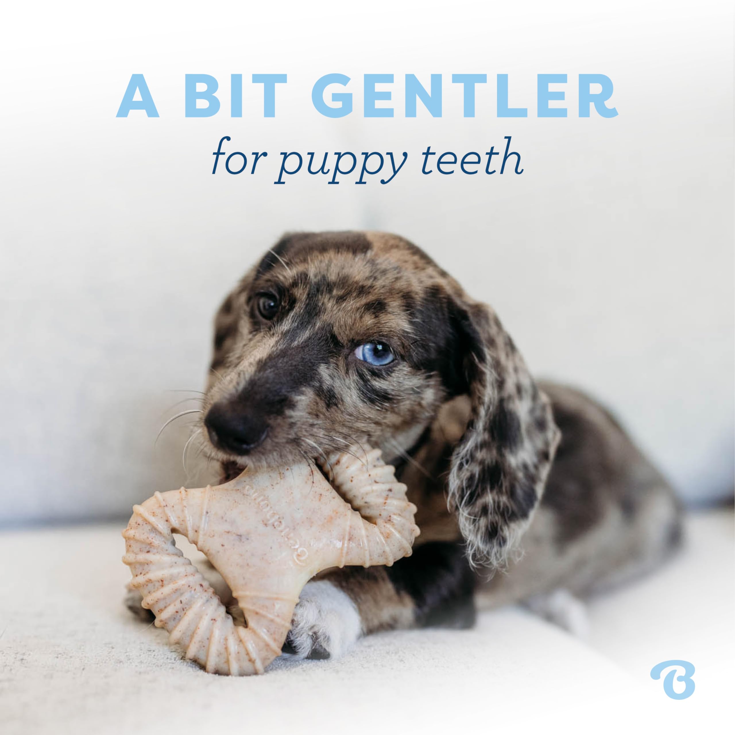 Benebone Puppy dental chew shown from an alternate angle.