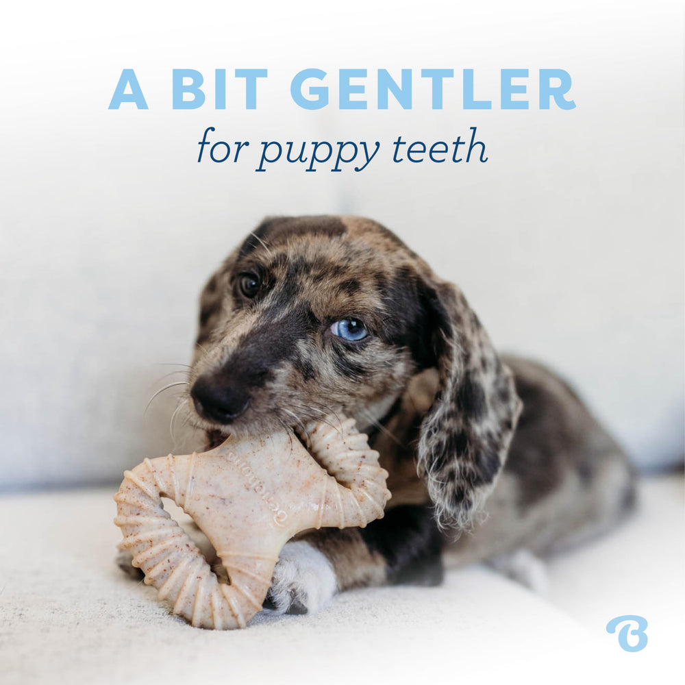 Benebone Puppy dental chew shown from an alternate angle.