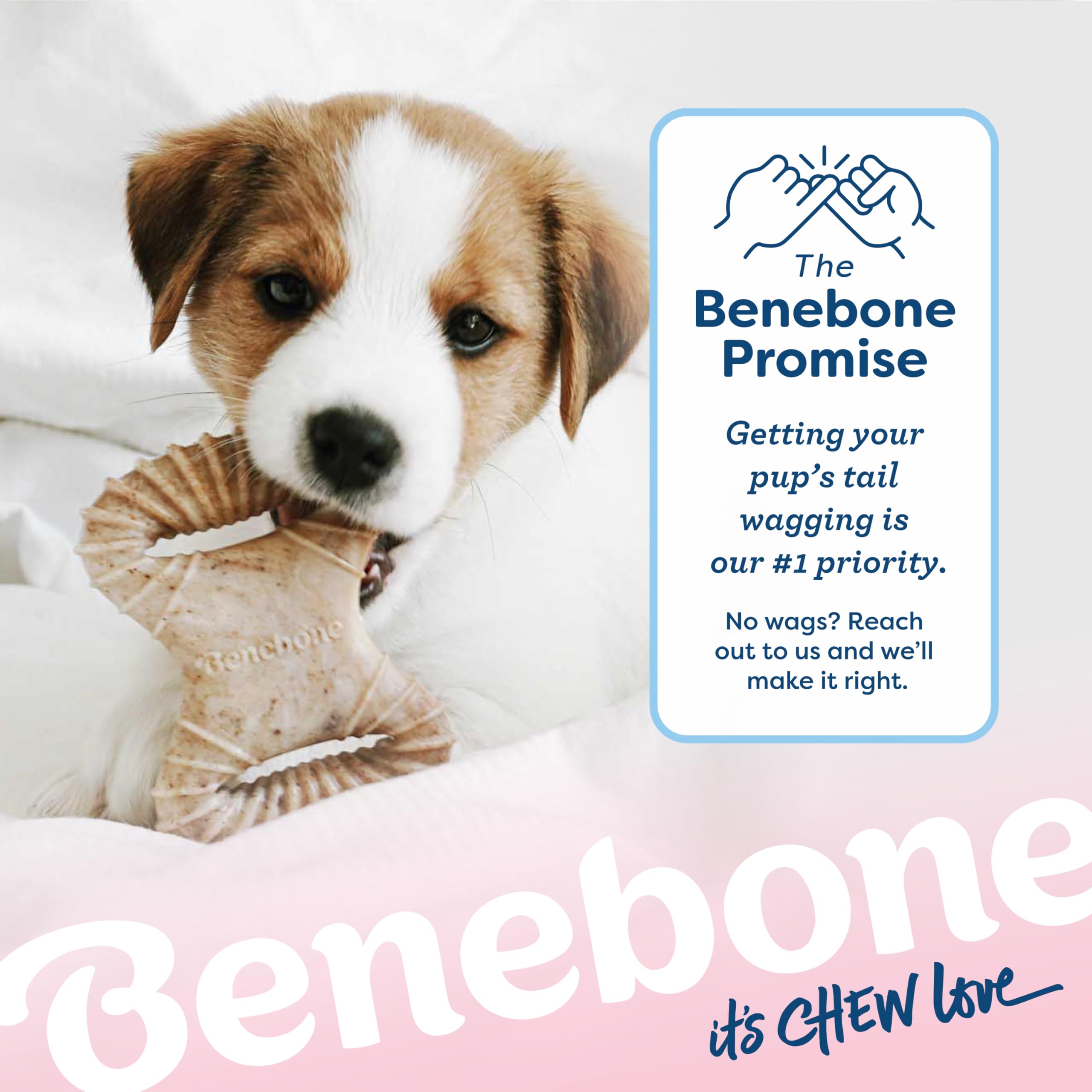 Benebone Puppy dental chew shown with its bacon flavor identified.