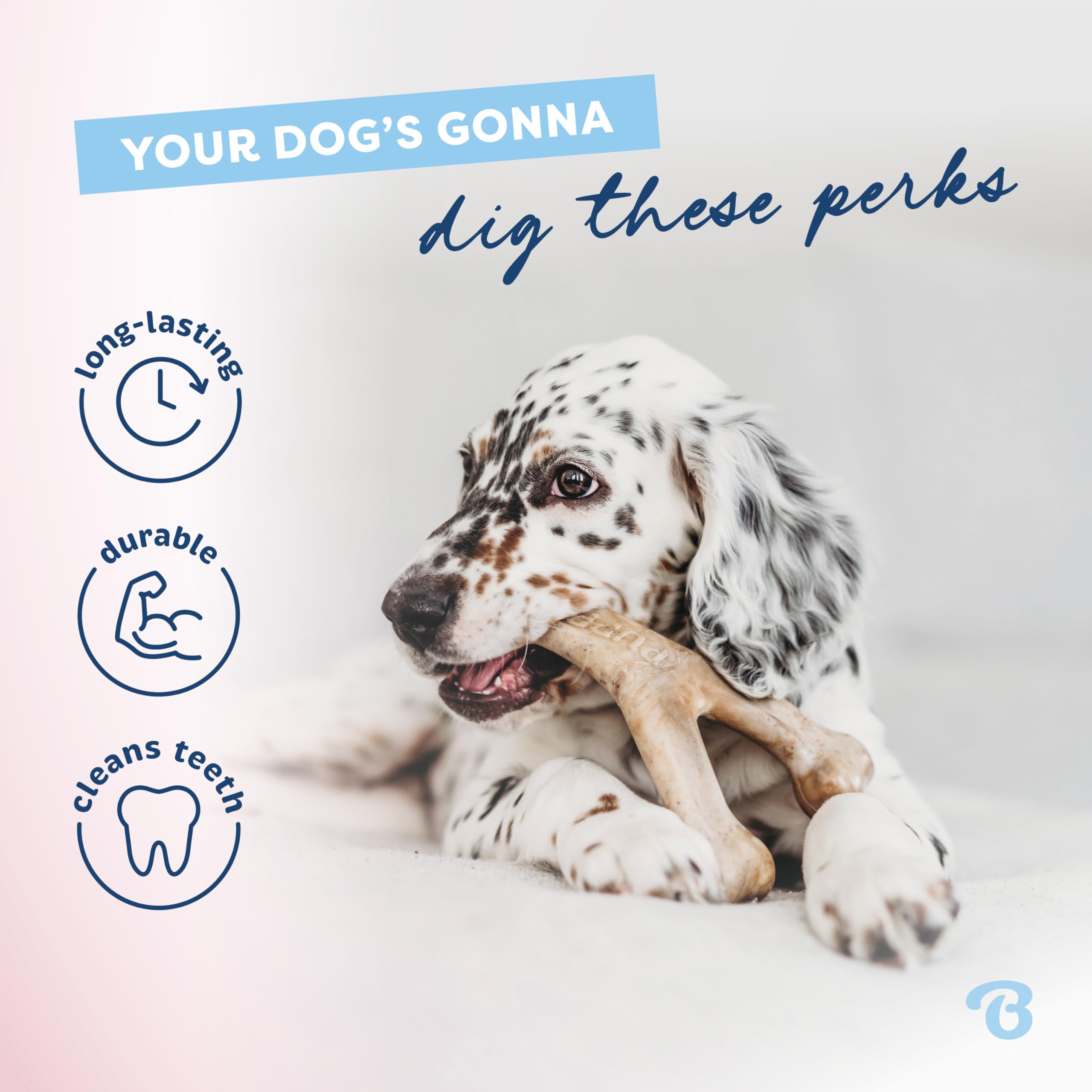 Benebone Puppy dental chew shown being used by a dog.