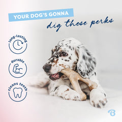 Benebone Puppy dental chew shown being used by a dog.