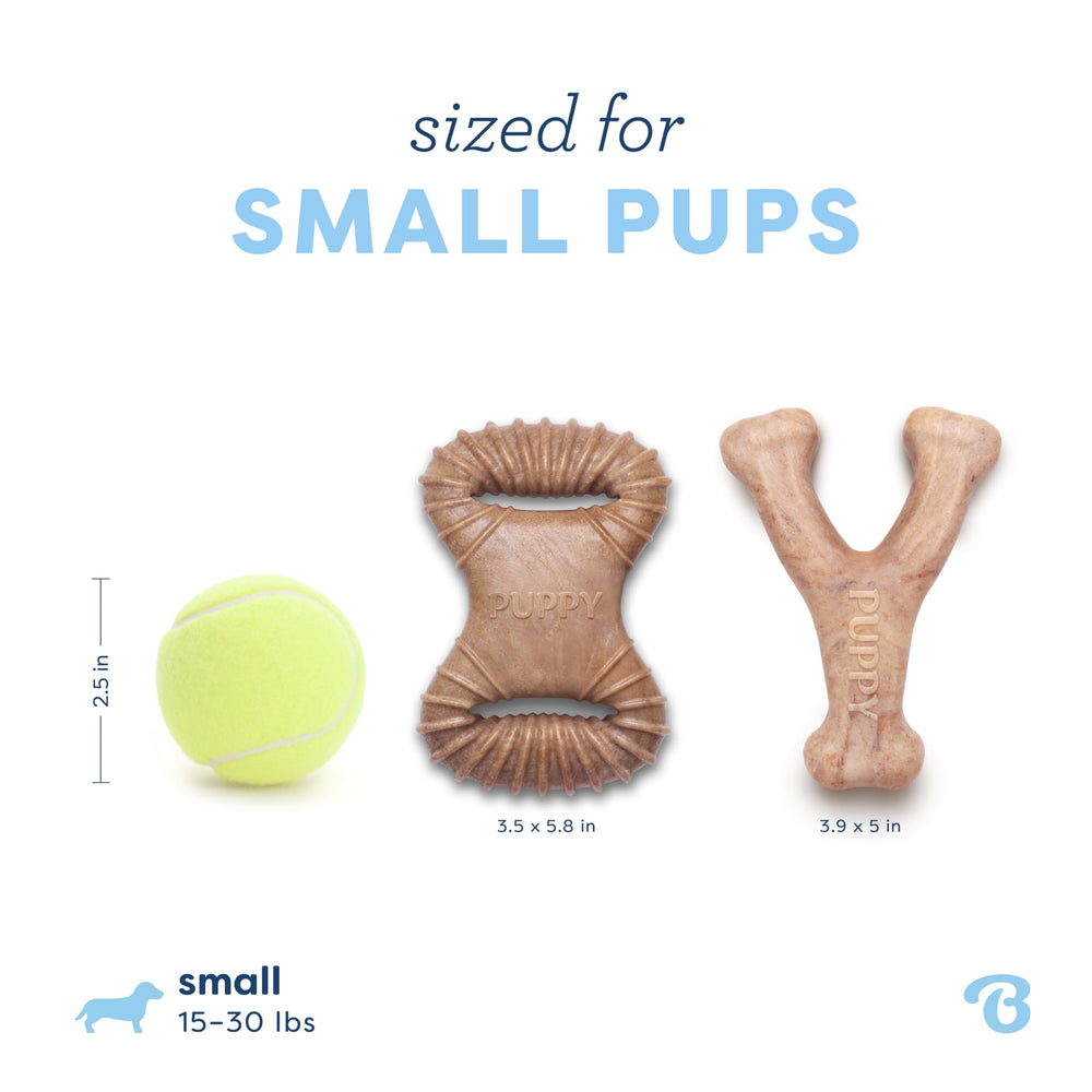 Benebone Puppy dental chew two-pack shown together.