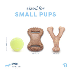 Benebone Puppy dental chew two-pack shown together.