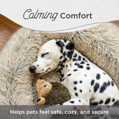 Best Friends by Sheri donut bed with a small dog curled up inside.
